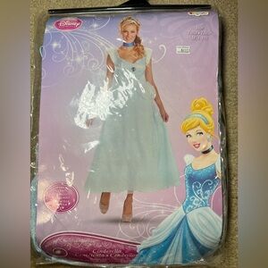 Cinderella Disney Princess Halloween Adult Costume